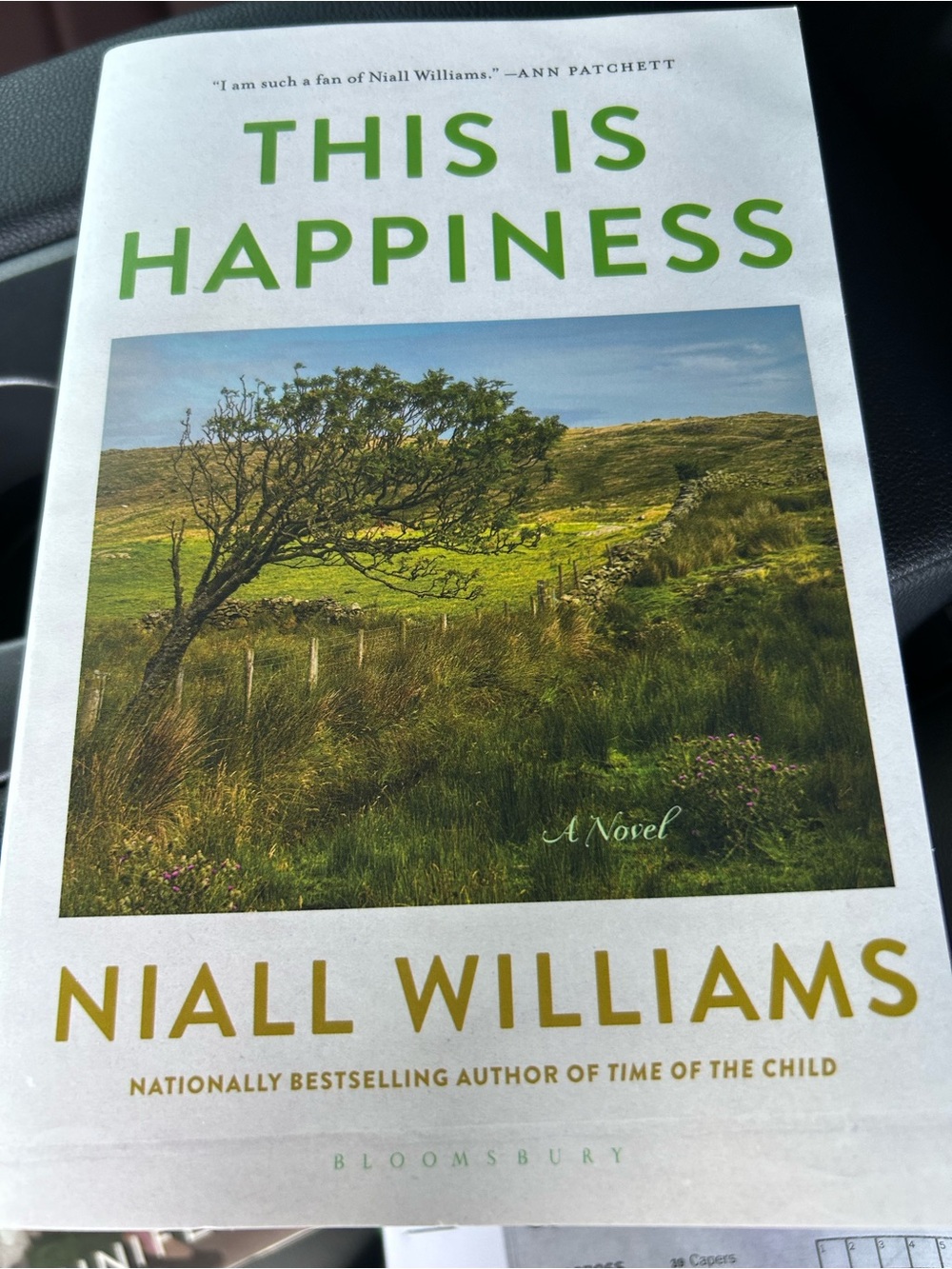 This is Happiness by Niall Williams Book